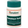 Himalaya - Rumalaya Forte - 60 tablets