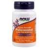 NOW Foods - Policosanol 20mg - 90 vcaps