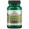 Swanson - Rhodiola Rosea Extract - 60 caps