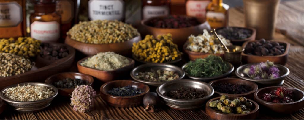 De mest populære urter til sundhed og velvære