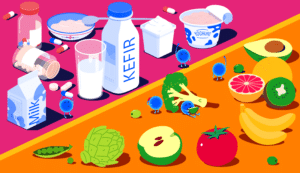 Kan probiotika hjælpe med vægttab? En omfattende analyse