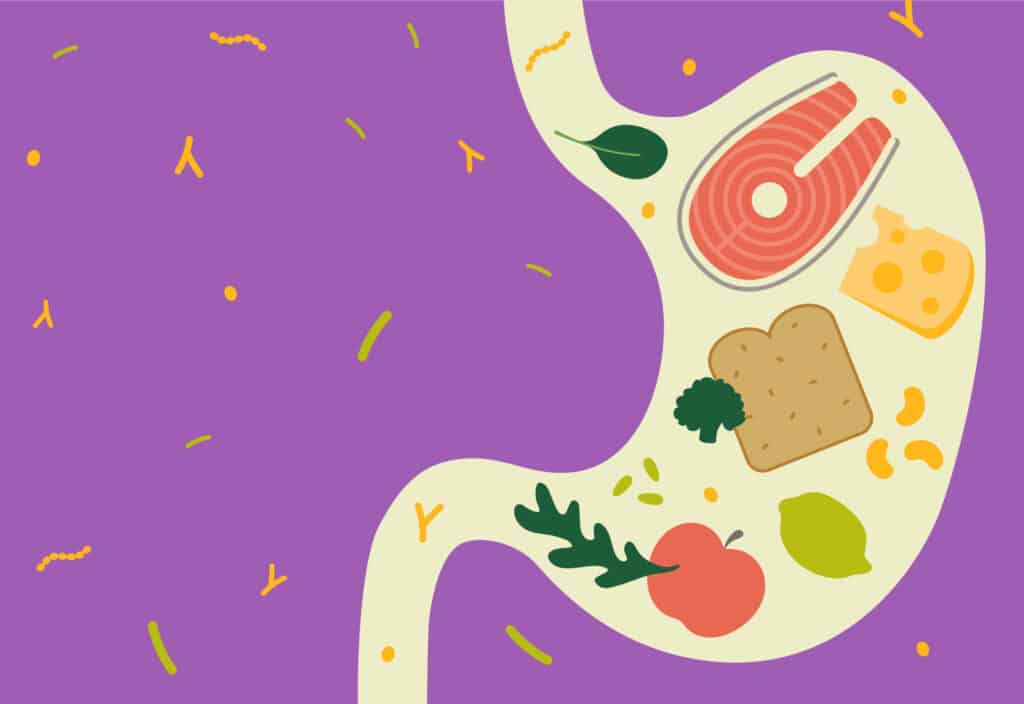 Sådan kan fibertilskud hjælpe med at forebygge tarmsygdomme