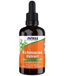 NOW Foods - Echinacea-ekstrakt - 59 ml