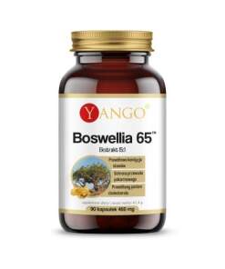 YANGO Boswellia 65 (90 caps)