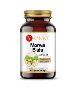 YANGO White mulberry - extract (60 caps)