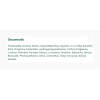 The Body Shop Vitamin C Glow Revealing Serum (30 ml) - imagine 2